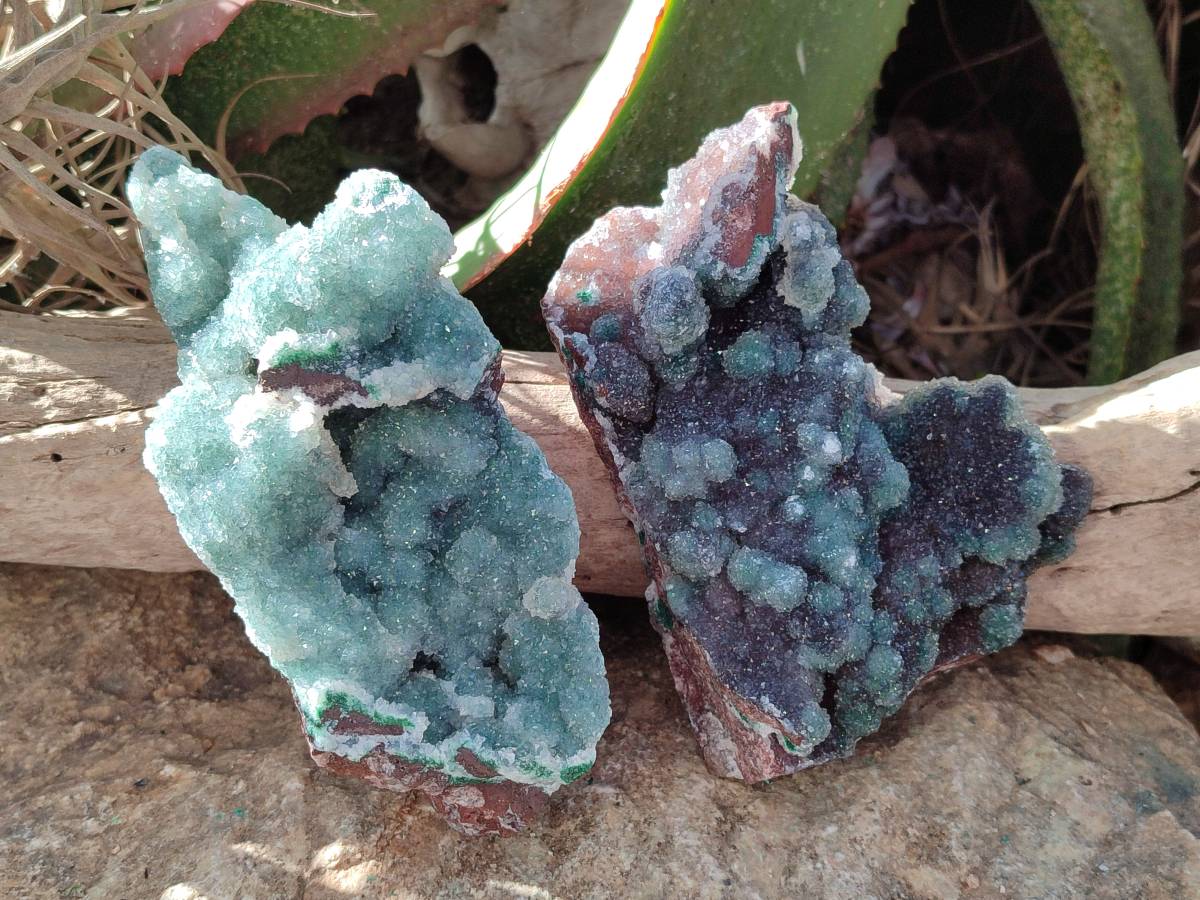 Natural Ball Malachite On Dolomite Matrix Specimens x 2 From Kambove, Congo - Toprock Gemstones and Minerals 
