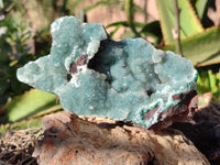 Natural Ball Malachite On Dolomite Matrix Specimens x 2 From Kambove, Congo