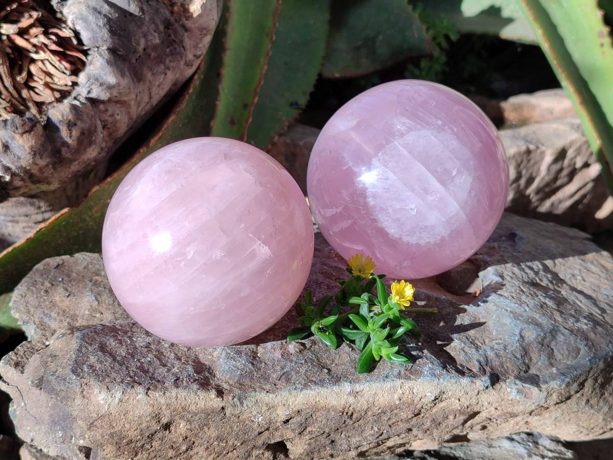 Polished Rose Quartz Spheres x 2 Madagascar - Toprock Gemstones and Minerals 