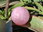 Polished Rose Quartz Spheres x 2 Madagascar - Toprock Gemstones and Minerals 