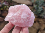 Natural Pink Rose Quartz Cobbed Specimens x 24 From North Cape, South Africa - Toprock Gemstones and Minerals 