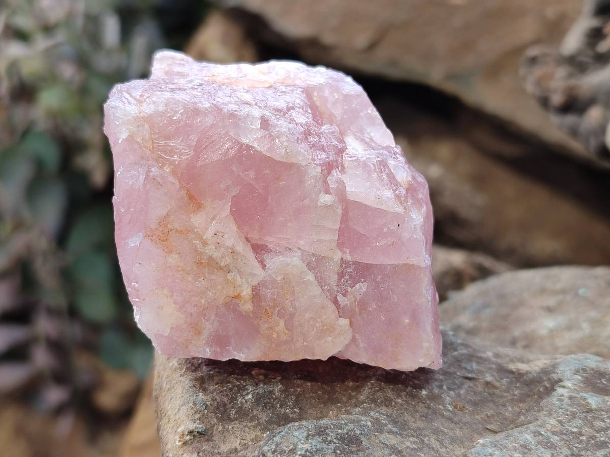 Natural Pink Rose Quartz Cobbed Specimens x 24 From North Cape, South Africa - Toprock Gemstones and Minerals 