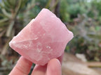 Natural Pink Rose Quartz Cobbed Specimens x 24 From North Cape, South Africa - Toprock Gemstones and Minerals 