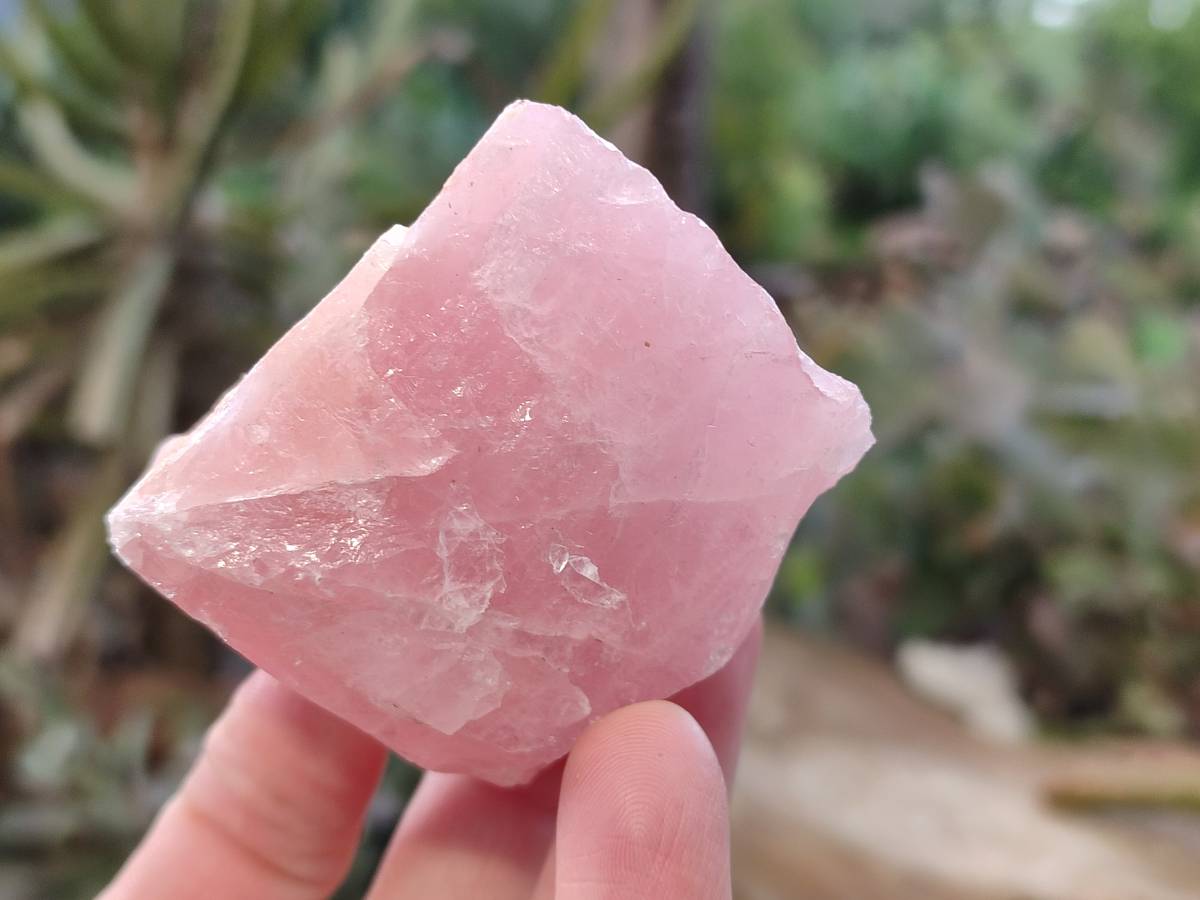 Natural Pink Rose Quartz Cobbed Specimens x 24 From North Cape, South Africa - Toprock Gemstones and Minerals 