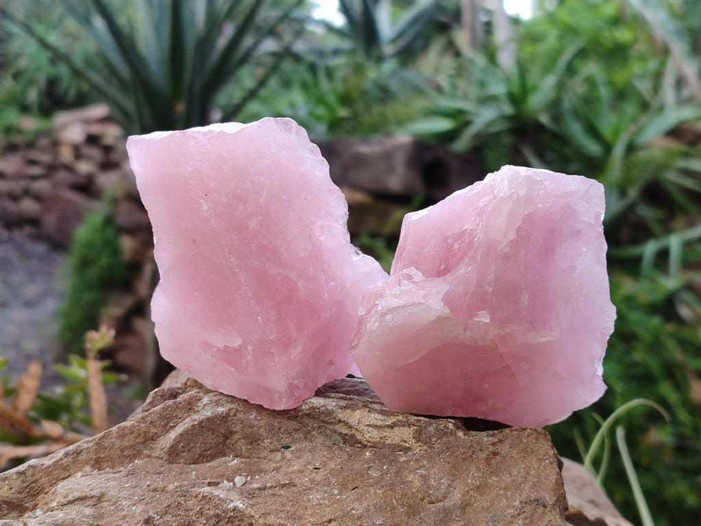 Natural Pink Rose Quartz Cobbed Specimens x 24 From North Cape, South Africa - Toprock Gemstones and Minerals 