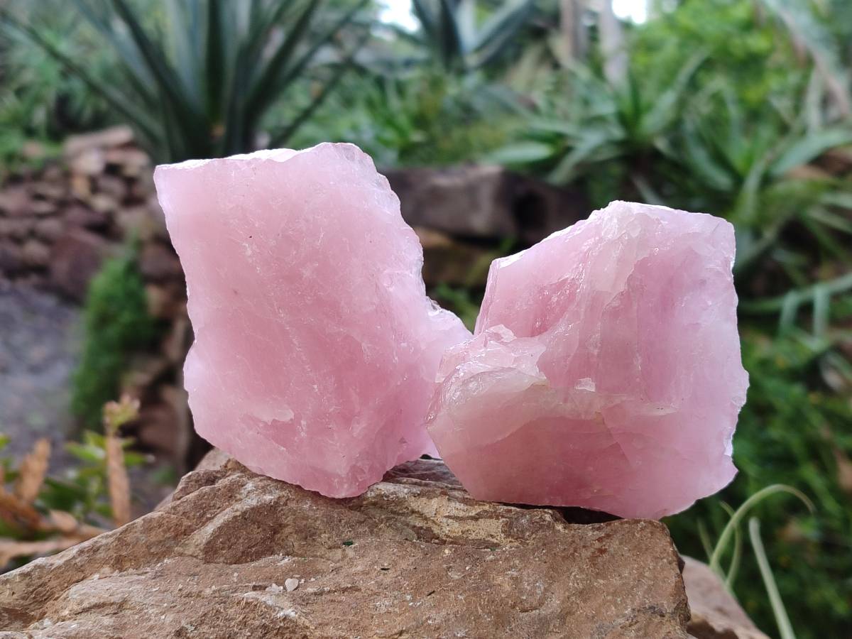 Natural Pink Rose Quartz Cobbed Specimens x 24 From North Cape, South Africa - Toprock Gemstones and Minerals 