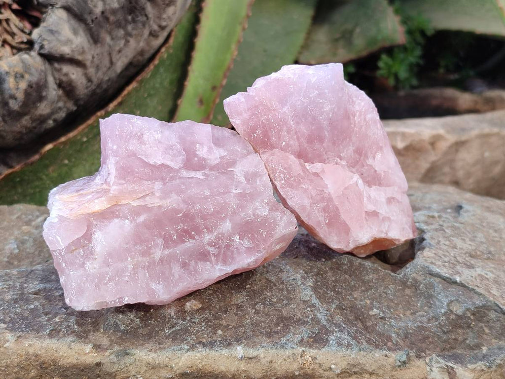 Natural Pink Rose Quartz Cobbed Specimens x 24 From North Cape, South Africa - Toprock Gemstones and Minerals 