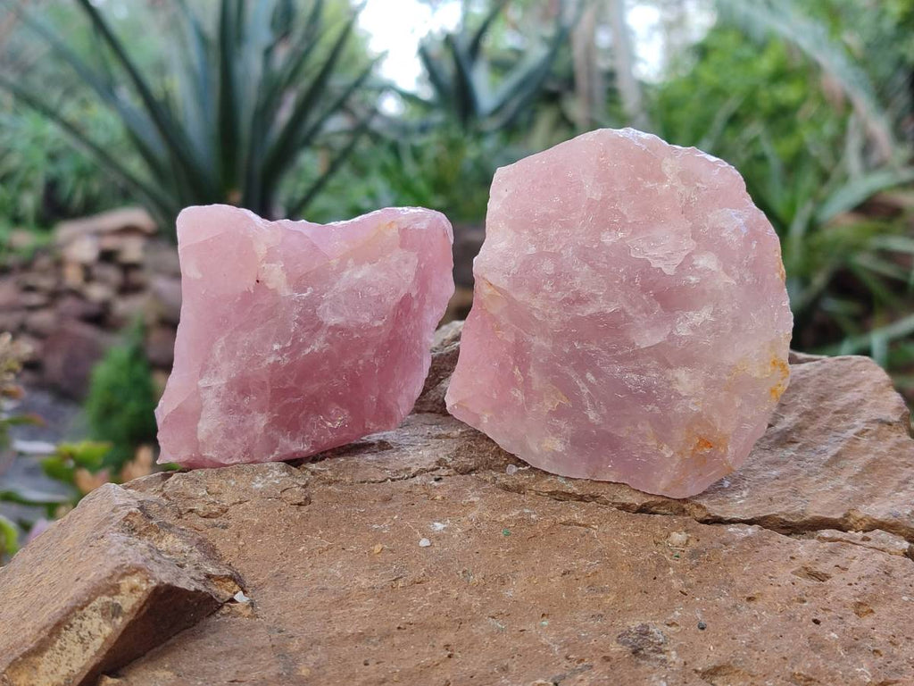 Natural Pink Rose Quartz Cobbed Specimens x 24 From North Cape, South Africa - Toprock Gemstones and Minerals 