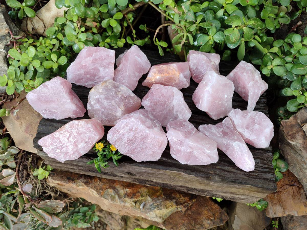 Natural Pink Rose Quartz Cobbed Specimens x 24 From North Cape, South Africa - Toprock Gemstones and Minerals 