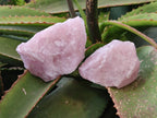 Natural Pink Rose Quartz Cobbed Specimens x 24 From North Cape, South Africa - Toprock Gemstones and Minerals 