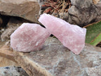 Natural Pink Rose Quartz Cobbed Specimens x 24 From North Cape, South Africa - Toprock Gemstones and Minerals 
