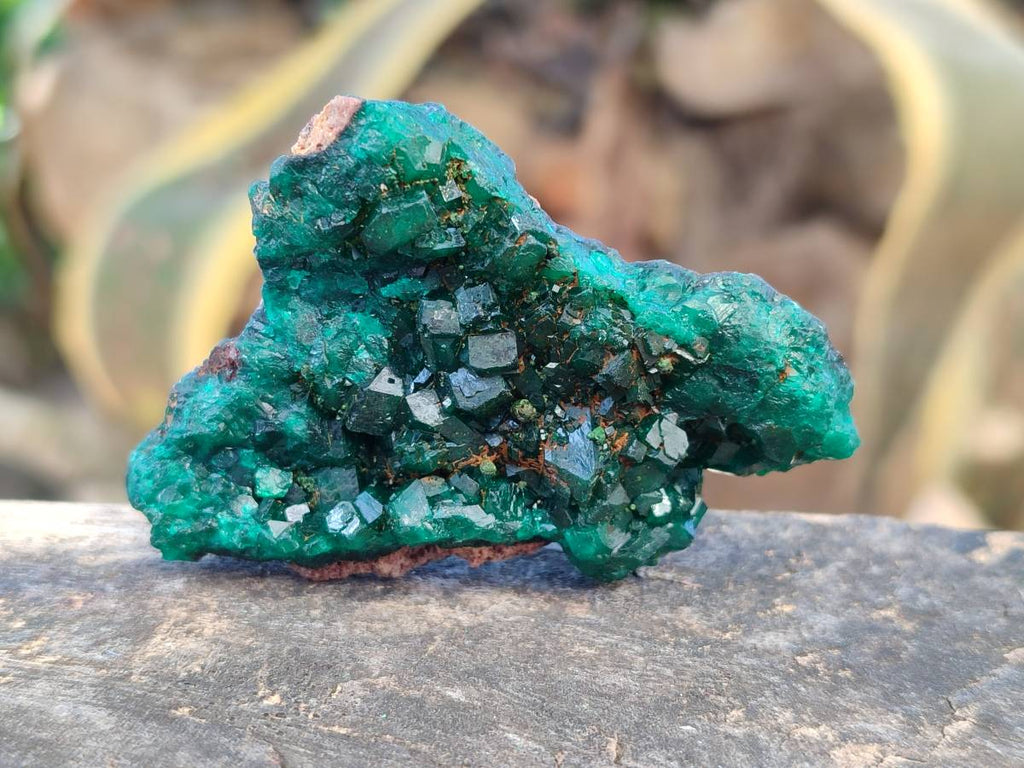 Natural Dioptase on Dolomite Matrix Specimens x 12 From Likasi, Congo - Toprock Gemstones and Minerals 