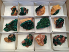 Natural Dioptase on Dolomite Matrix Specimens x 12 From Likasi, Congo - Toprock Gemstones and Minerals 