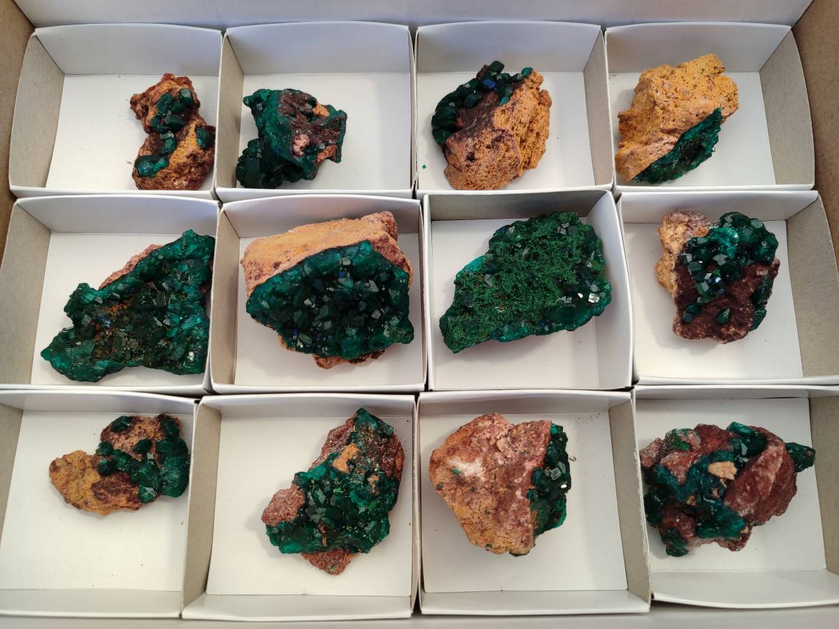 Natural Dioptase on Dolomite Matrix Specimens x 12 From Likasi, Congo - Toprock Gemstones and Minerals 