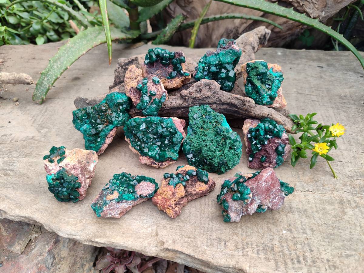 Natural Dioptase on Dolomite Matrix Specimens x 12 From Likasi, Congo - Toprock Gemstones and Minerals 