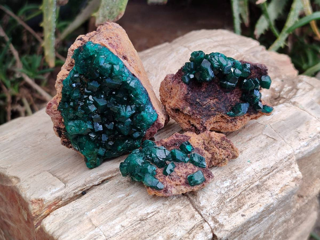 Natural Dioptase on Dolomite Matrix Specimens x 12 From Likasi, Congo - Toprock Gemstones and Minerals 