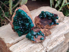 Natural Dioptase on Dolomite Matrix Specimens x 12 From Likasi, Congo - Toprock Gemstones and Minerals 