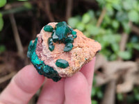 Natural Dioptase on Dolomite Matrix Specimens x 12 From Likasi, Congo - Toprock Gemstones and Minerals 