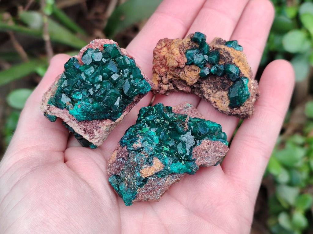 Natural Dioptase on Dolomite Matrix Specimens x 12 From Likasi, Congo - Toprock Gemstones and Minerals 