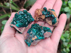 Natural Dioptase on Dolomite Matrix Specimens x 12 From Likasi, Congo - Toprock Gemstones and Minerals 