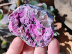Natural Drusy Salrose on Dolomite Matrix Specimens x 12 From Kakanda, Congo - Toprock Gemstones and Minerals 