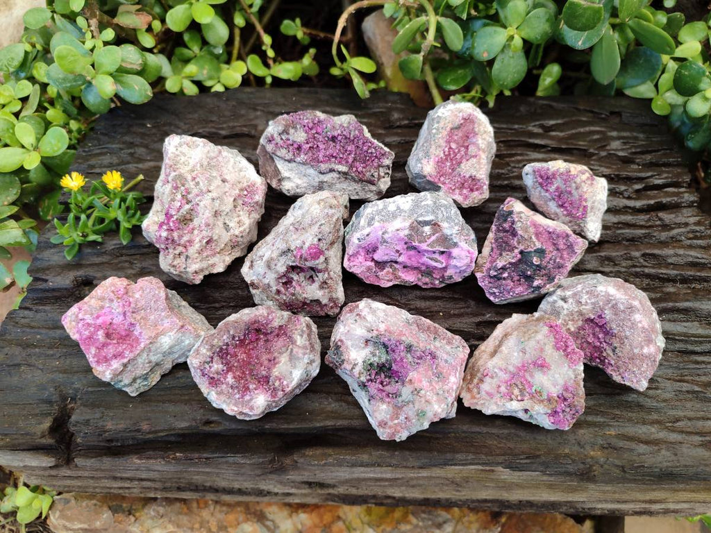 Natural Drusy Salrose on Dolomite Matrix Specimens x 12 From Kakanda, Congo - Toprock Gemstones and Minerals 