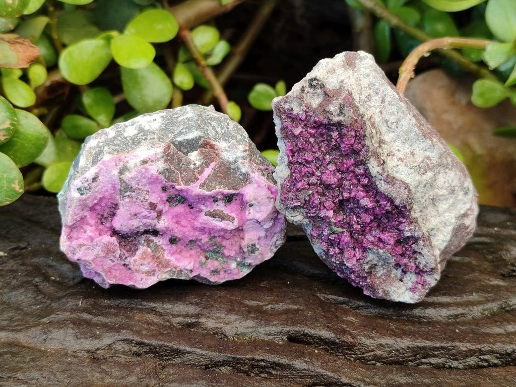 Natural Drusy Salrose on Dolomite Matrix Specimens x 12 From Kakanda, Congo - Toprock Gemstones and Minerals 