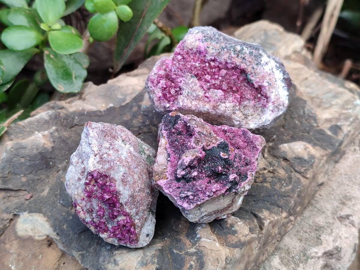 Natural Drusy Salrose on Dolomite Matrix Specimens x 12 From Kakanda, Congo - Toprock Gemstones and Minerals 