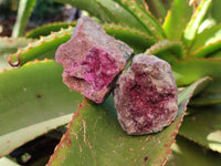 Natural Drusy Salrose on Dolomite Matrix Specimens x 12 From Kakanda, Congo - Toprock Gemstones and Minerals 