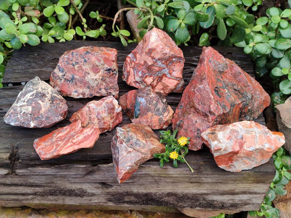Natural Brecciated Jasper Cobbed Pieces x 17 From South Africa