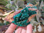 Natural Dioptase on Dolomite Matrix Specimens x 6 From Likasi, Congo - Toprock Gemstones and Minerals 
