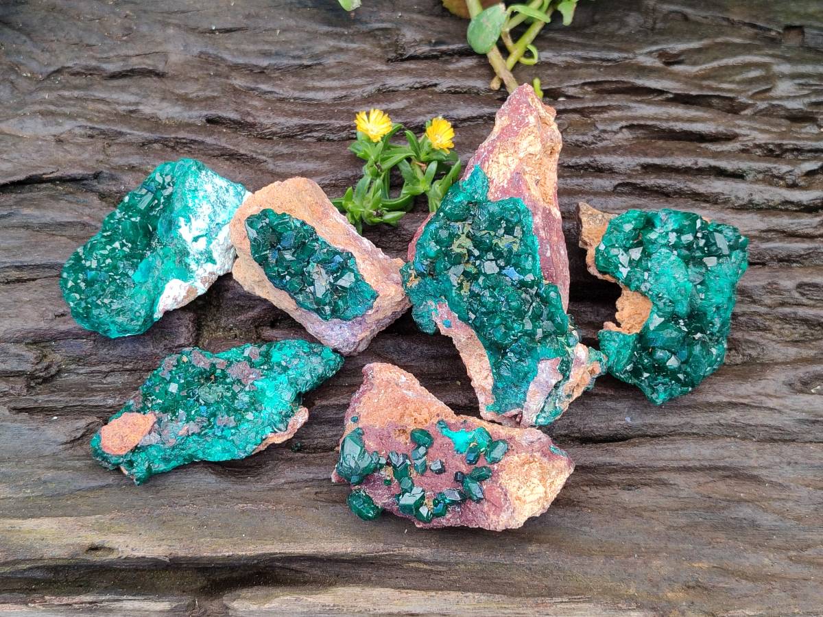 Natural Dioptase on Dolomite Matrix Specimens x 6 From Likasi, Congo - Toprock Gemstones and Minerals 