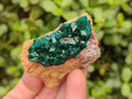 Natural Dioptase on Dolomite Matrix Specimens x 6 From Likasi, Congo - Toprock Gemstones and Minerals 