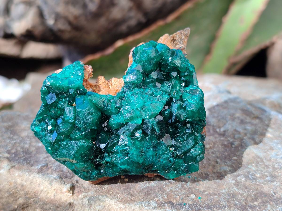 Natural Dioptase on Dolomite Matrix Specimens x 6 From Likasi, Congo - Toprock Gemstones and Minerals 