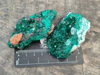 Natural Dioptase on Dolomite Matrix Specimens x 6 From Likasi, Congo - Toprock Gemstones and Minerals 