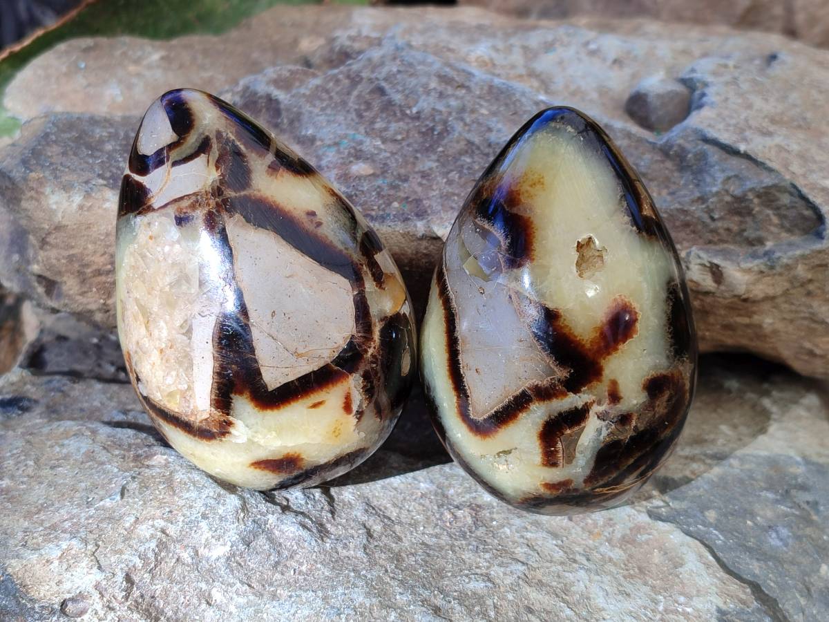 Polished Fossilized Septerye Eggs x 3 From Mahajanga, Madagascar - Toprock Gemstones and Minerals 