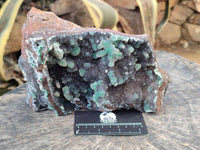 Natural Ball Malachite On Dolomite Matrix Specimen x 1 From Kambove, Congo