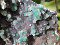 Natural Ball Malachite On Dolomite Matrix Specimen x 1 From Kambove, Congo