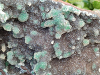 Natural Ball Malachite On Dolomite Matrix Specimen x 1 From Kambove, Congo