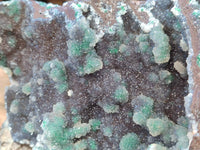 Natural Ball Malachite On Dolomite Matrix Specimen x 1 From Kambove, Congo