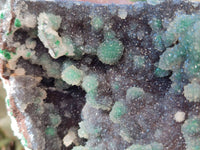 Natural Ball Malachite On Dolomite Matrix Specimen x 1 From Kambove, Congo