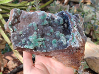 Natural Ball Malachite On Dolomite Matrix Specimen x 1 From Kambove, Congo