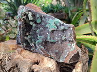 Natural Ball Malachite On Dolomite Matrix Specimen x 1 From Kambove, Congo