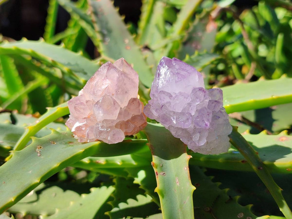Natural Amethyst Spirit Quartz Crystals x 35 From Boekenhouthoek, South Africa - Toprock Gemstones and Minerals 