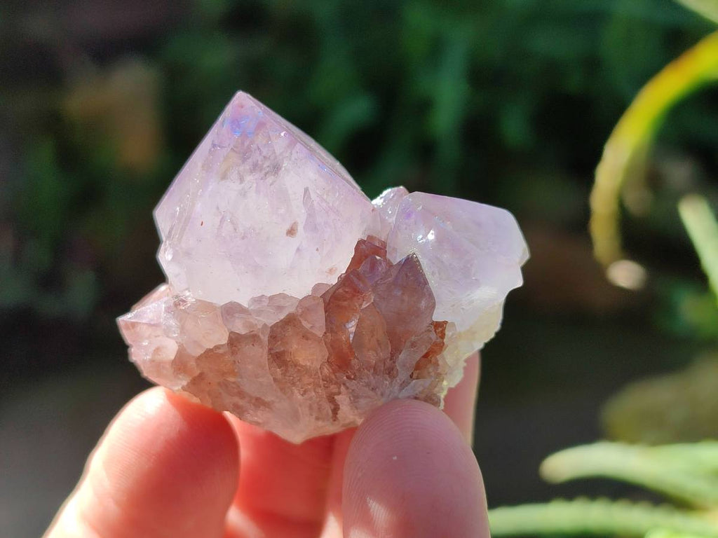 Natural Amethyst Spirit Quartz Crystals x 35 From Boekenhouthoek, South Africa - Toprock Gemstones and Minerals 