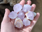 Natural Amethyst Spirit Quartz Crystals x 35 From Boekenhouthoek, South Africa - Toprock Gemstones and Minerals 