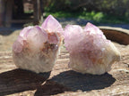 Natural Amethyst Spirit Quartz Clusters x 6 From Boekenhouthoek, South Africa - Toprock Gemstones and Minerals 