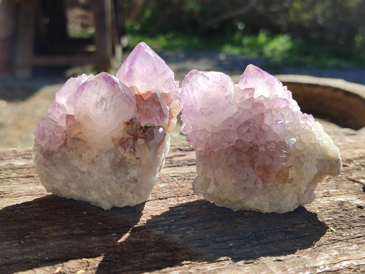 Natural Amethyst Spirit Quartz Clusters x 6 From Boekenhouthoek, South Africa - Toprock Gemstones and Minerals 