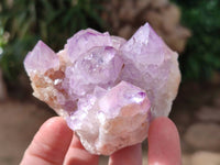 Natural Amethyst Spirit Quartz Clusters x 6 From Boekenhouthoek, South Africa - Toprock Gemstones and Minerals 