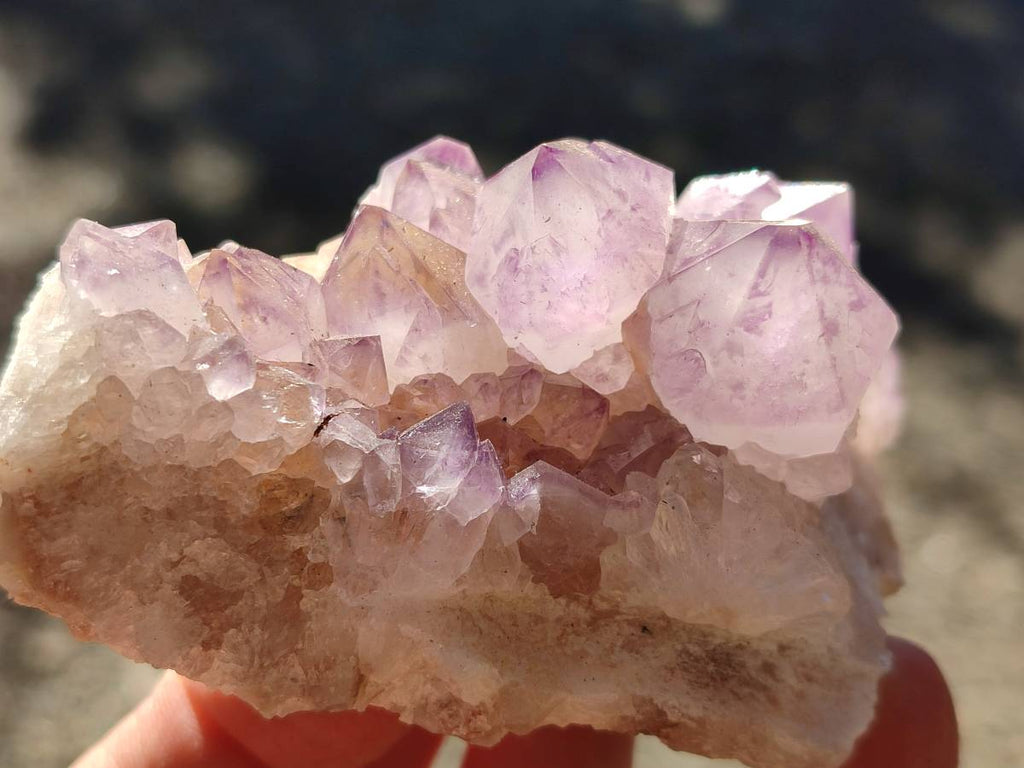 Natural Amethyst Spirit Quartz Clusters x 6 From Boekenhouthoek, South Africa - Toprock Gemstones and Minerals 